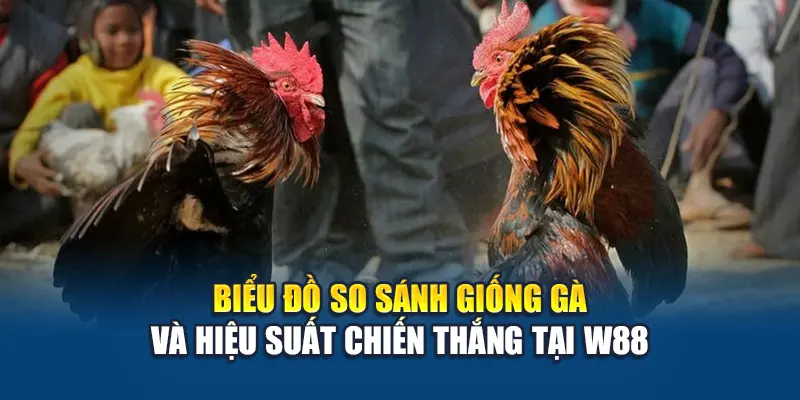 Biểu đồ so sánh giống gà và hiệu suất chiến thắng tại W88